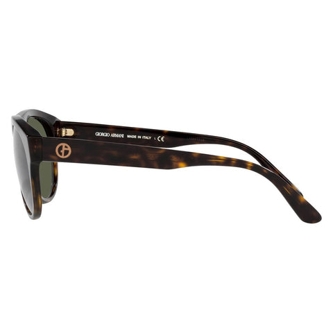 Brown Acetate Sunglasses Brown Acetate Sunglasses