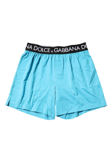 Blue Logo Waist Regular Boxer Shorts Underwear
