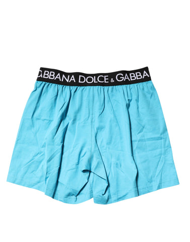 Blue Logo Waist Regular Boxer Shorts Underwear
