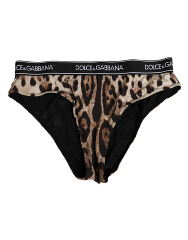 Brown Leopard Nylon High Waist Panty Underwear