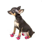 Wodoodporne antypoślizgowe buty dla psa – 4 ciepłe buciki dla małych psów i kotów